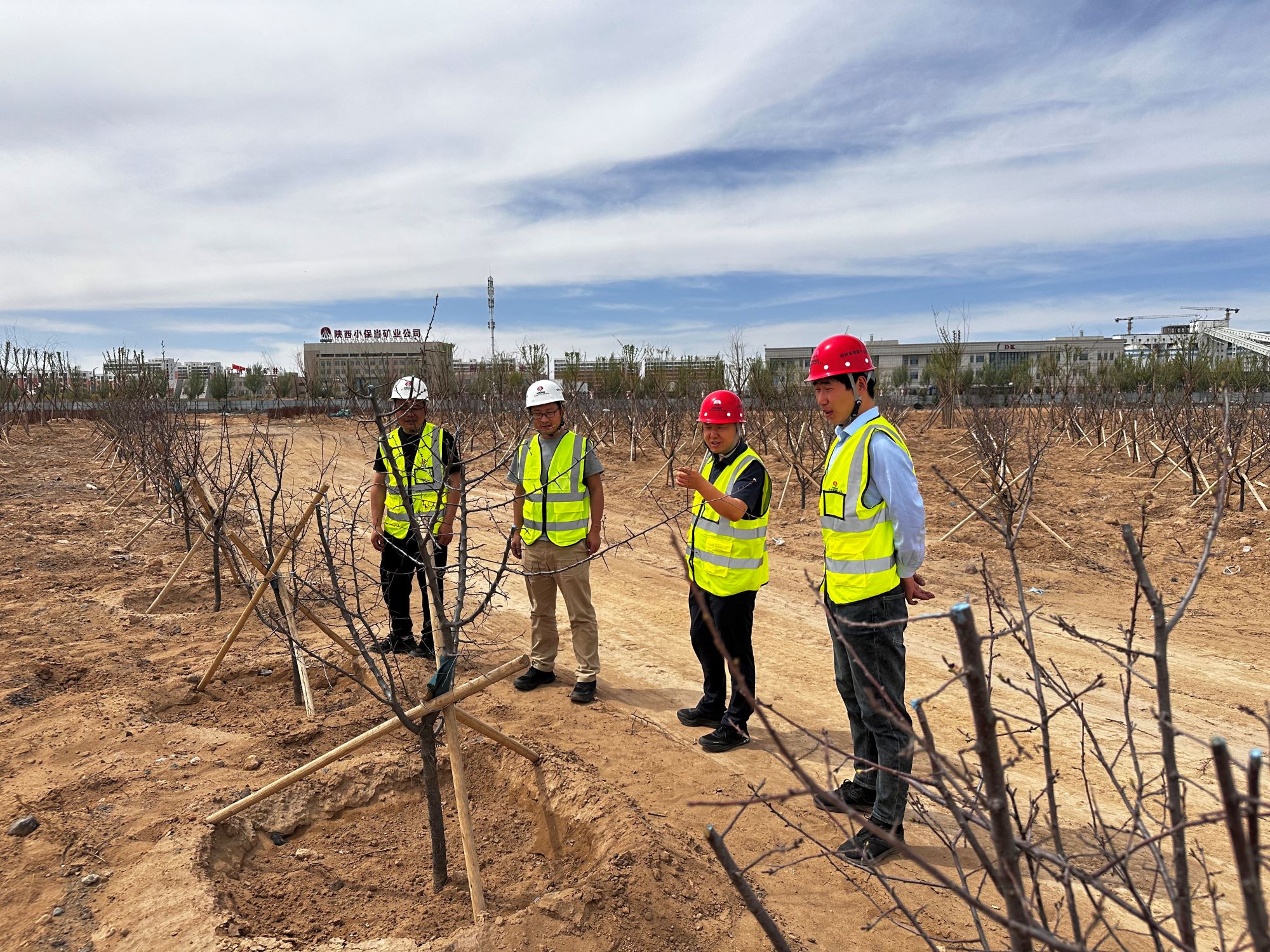 301745976968391007.jpg 301745976968391007.jpg